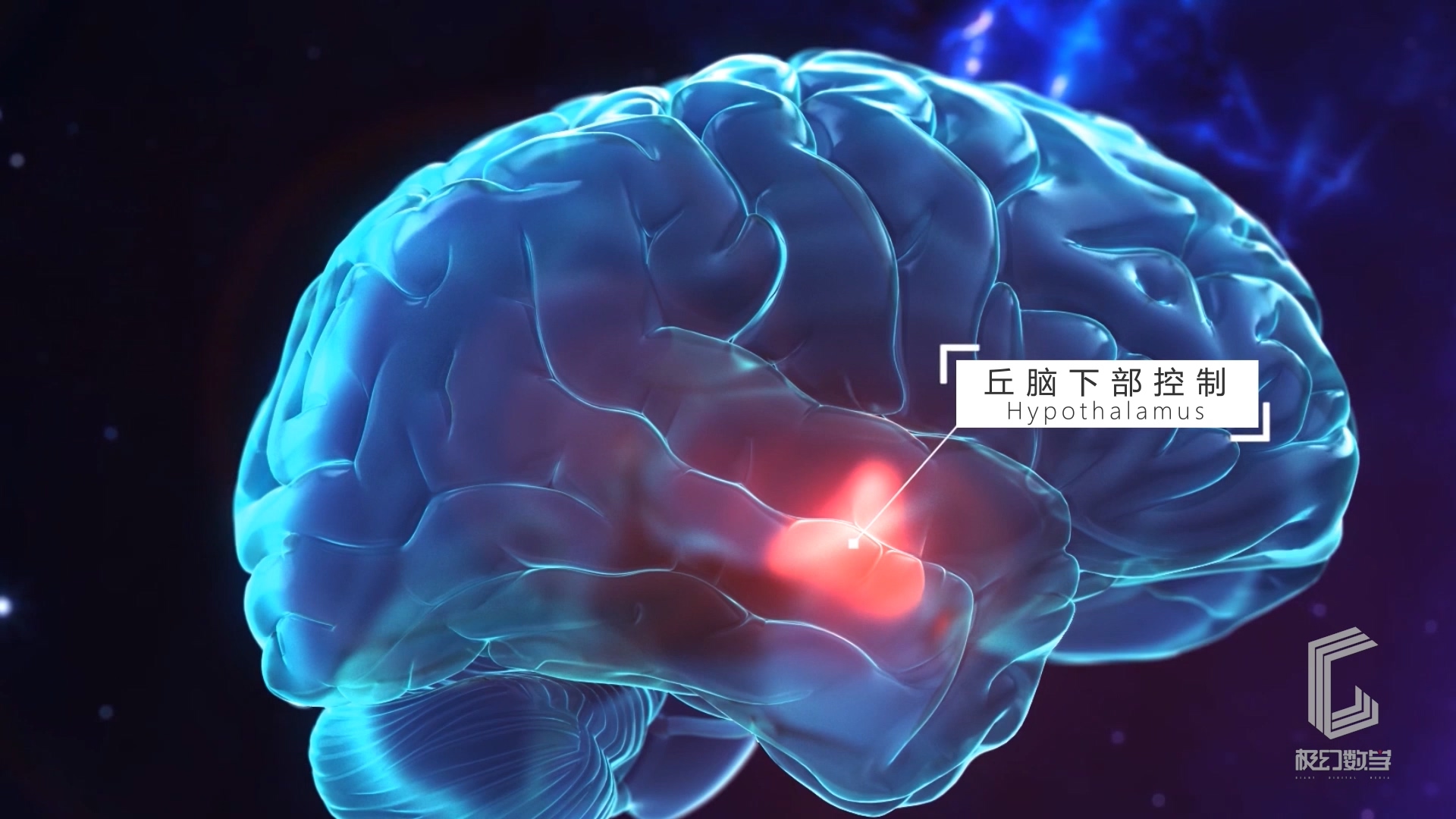 鱼跃医疗三维制作