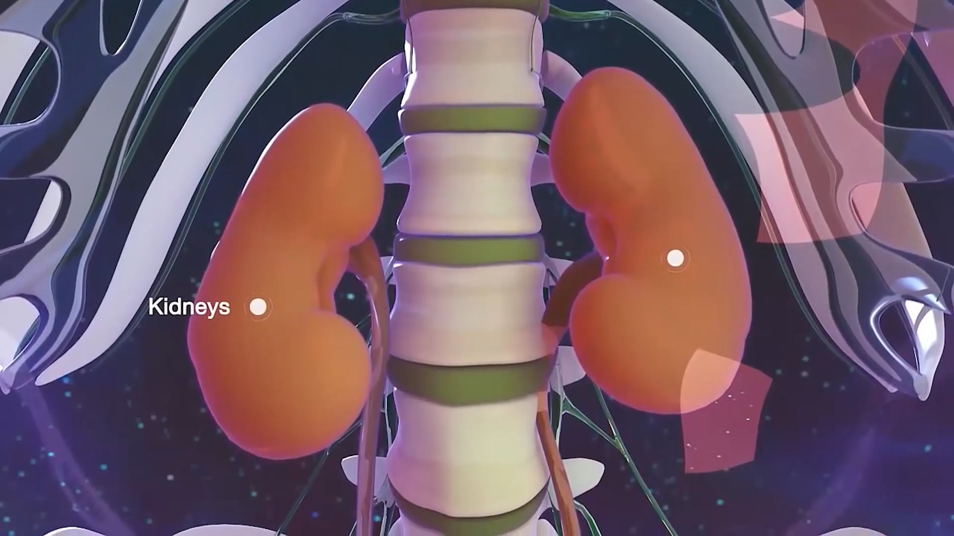 医学原理动画演绎